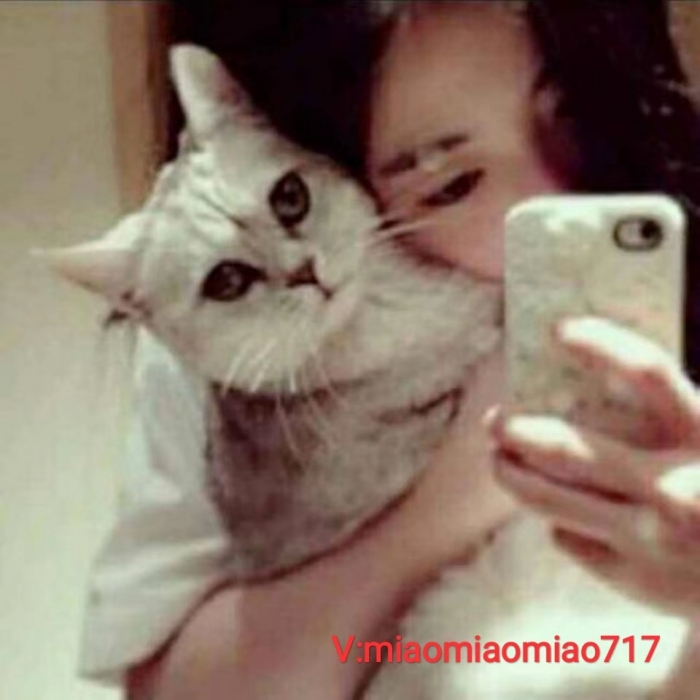 傲娇小貓咪的相册 傲娇小貓咪的相册