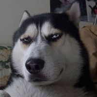 嘿嘿哈嘿的相册 嘿嘿哈嘿的相册